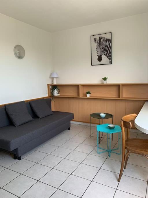 Studio Bourran + Parking Родез Екстер'єр фото